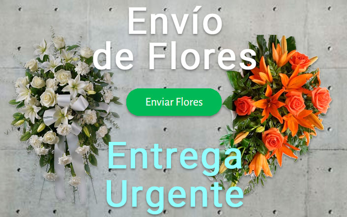 Envío de flores urgente a Tanatorio Elche